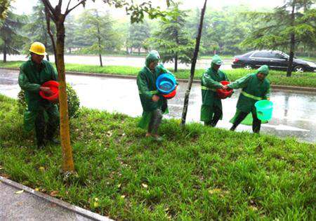 雨季追肥撒施效果怎么样?