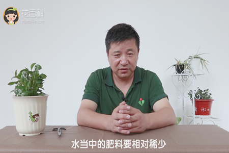 水当中的肥料要相对稀少 水当中的肥料要相对稀少