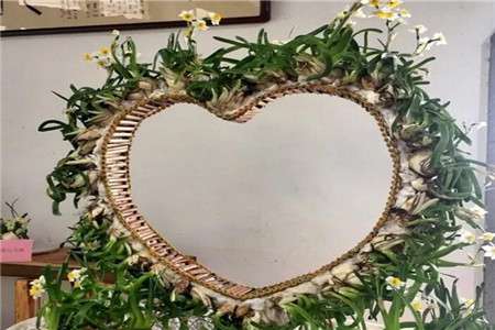 水仙花 水仙花