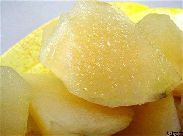 宁蒗县雪莲果的无公害栽培技术