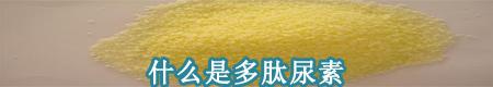 什么是多肽尿素
