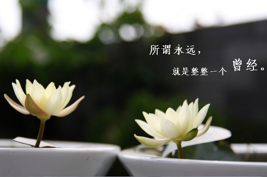 所谓的永远就是——一一整个曾经 所谓的永远就是——一一整个曾经