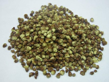 绿梅花的药用价值 绿梅花的药用价值