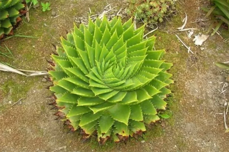 1528798886620905.png 11.png