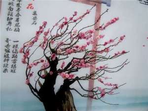 梅花盆景修剪