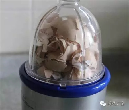 粉碎 粉碎