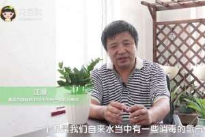 金钱树浇什么水好