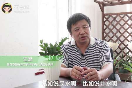 金钱数 金钱数
