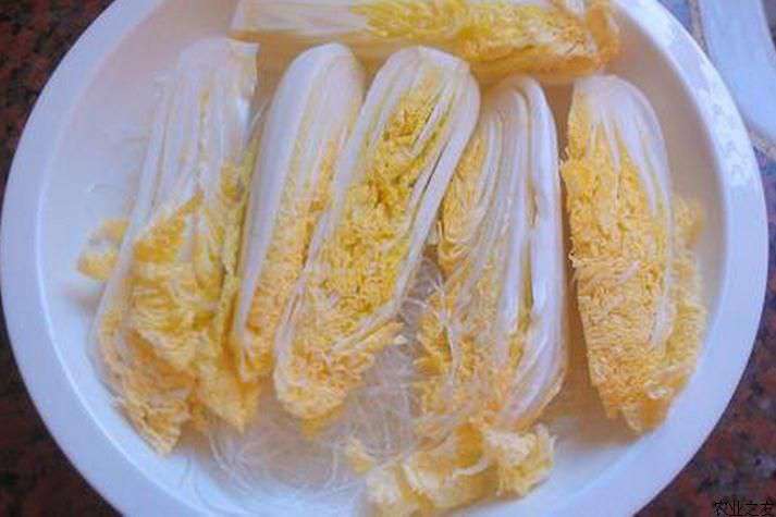 娃娃菜播种技术