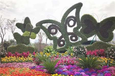 花 花