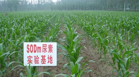 什么是SODm尿素?