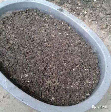 第三步 第三步