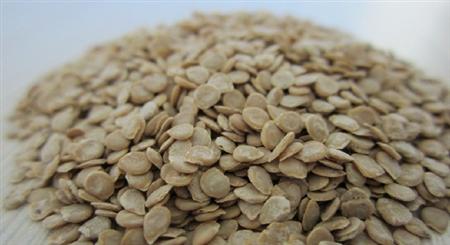 樱桃小番茄苗期怎么防治病害?
