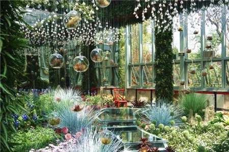 室内花展 室内花展