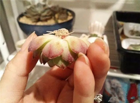 发个文 发个文