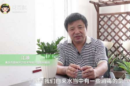 金钱数 金钱数