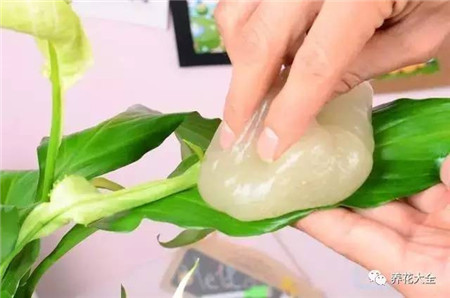 大叶片 大叶片