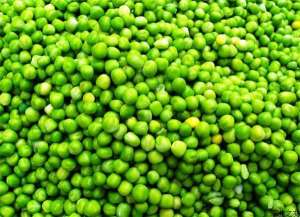 豌豆种植技术之秋豌豆种植