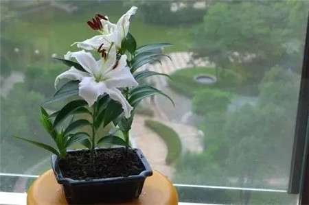 温度 温度