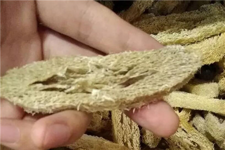 丝瓜络 丝瓜络
