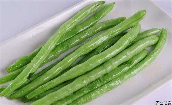 有机油四季豆贮藏保鲜适用技巧