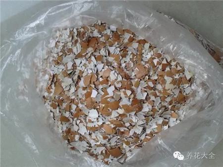 掰成小块 掰成小块