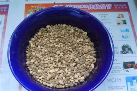 石子 石子
