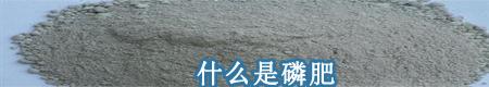 什么是磷肥