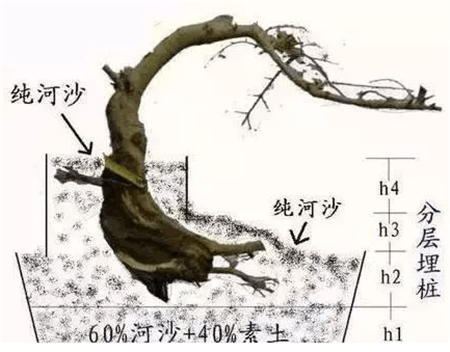 15 15