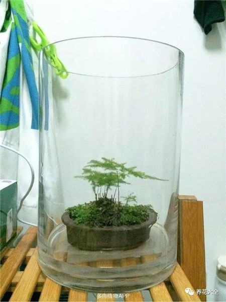 浇水 浇水