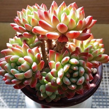 处理方法 处理方法