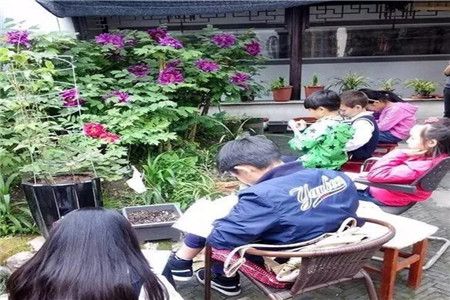 孩子们画牡丹 孩子们画牡丹