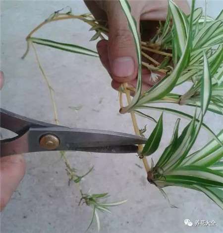 第二步 第二步