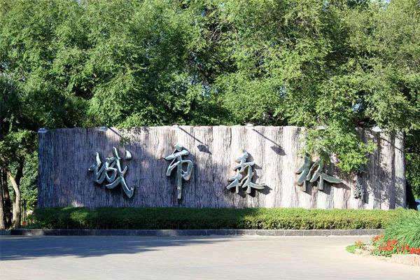 城市森林建设已成大势，绿化大乔木供不应求.jpg