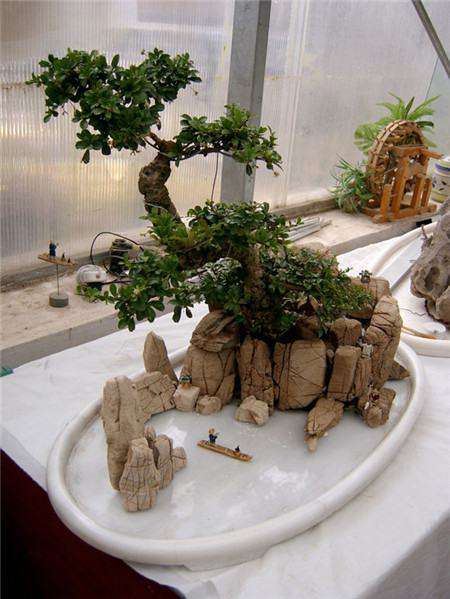水旱盆景制作:布景 水旱盆景制作:布景
