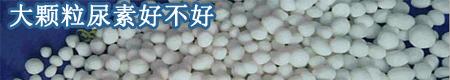 什么是磷酸二铵?磷酸二铵怎么使用好?