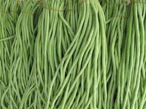 豆角种植：豆角怎么样保鲜保存？