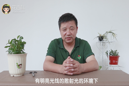 有明亮光线的散射光的环境下 有明亮光线的散射光的环境下