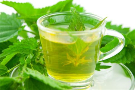 薄荷 薄荷