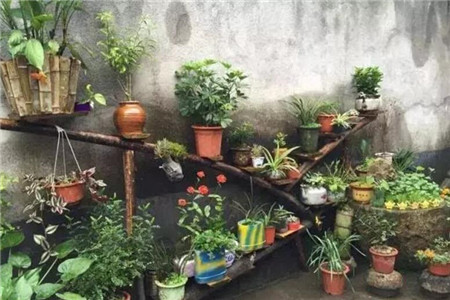 花架 花架