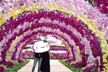 花廊 花廊