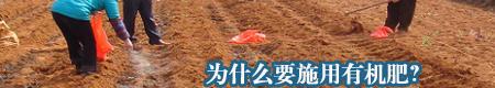 为什么要施用有机肥?