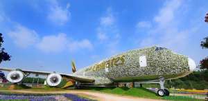 用50万株花卉包装巨无霸A380