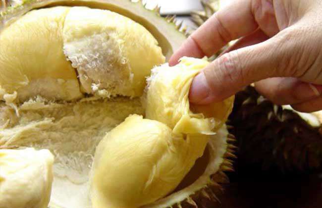 榴莲为什么那么贵？
