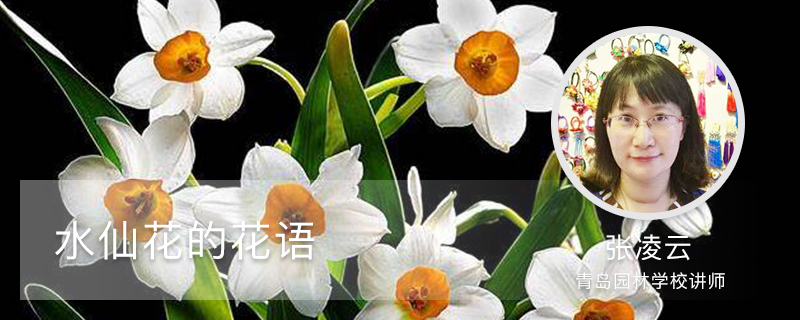 水仙花的花语 水仙花的花语