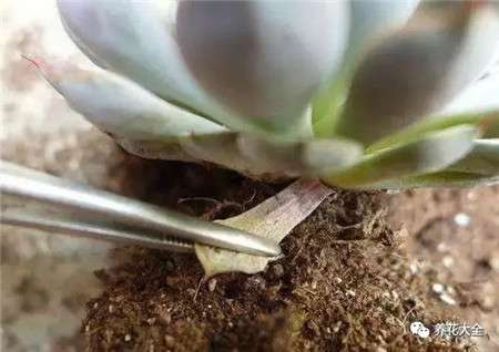 通风原因1 通风原因1
