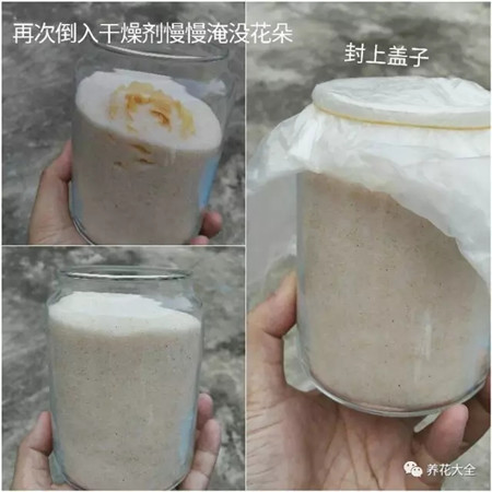 装瓶密封 装瓶密封