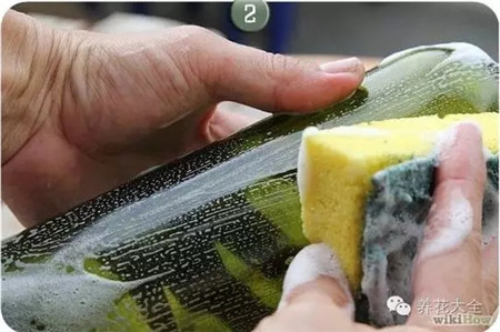 清洗干净 清洗干净