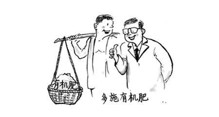 石榴花施肥种类 石榴花施肥种类
