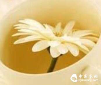 魔力.茶之养生